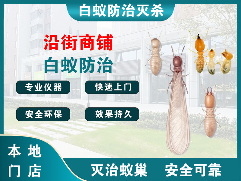 杭州沿街商铺白蚁防治