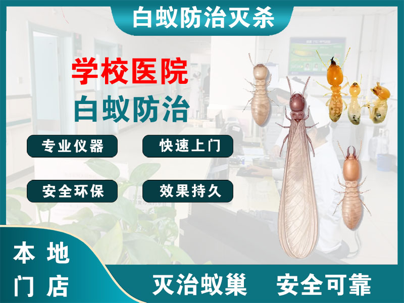 杭州学校医院白蚁防治
