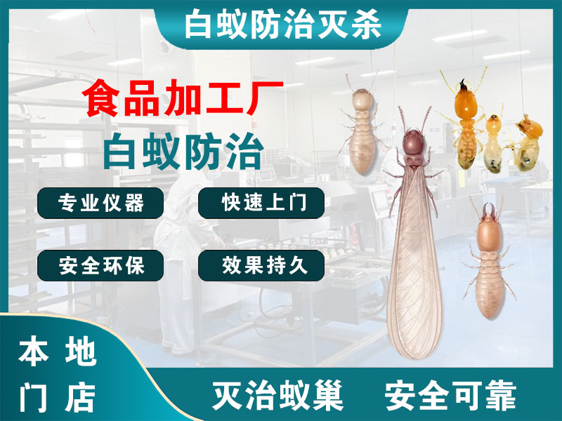 杭州食品加工厂白蚁防治