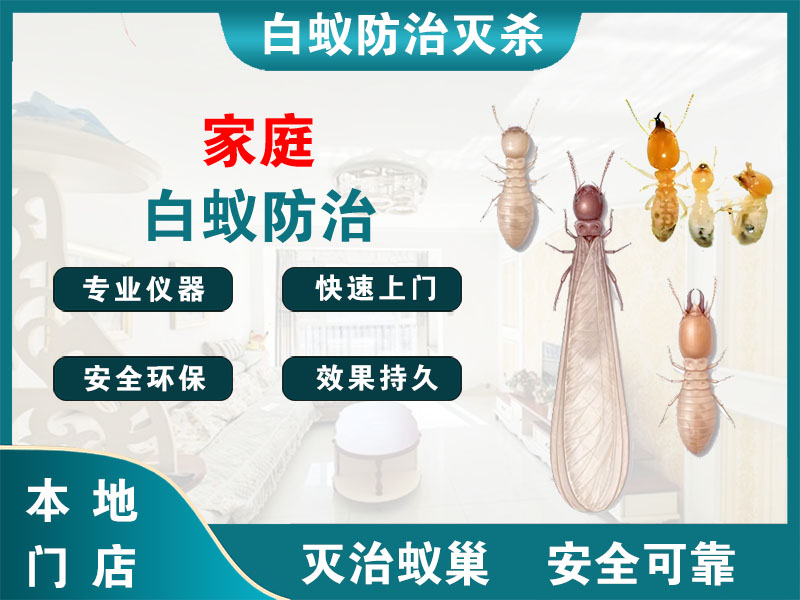 杭州家庭白蚁防治