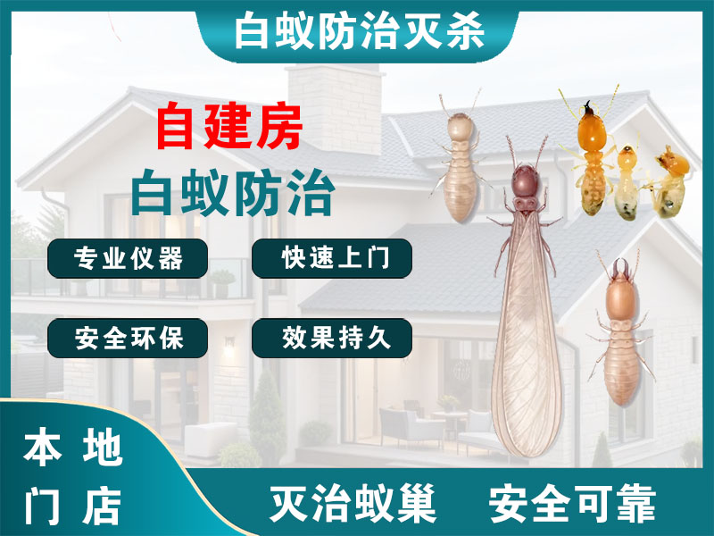 杭州自建房白蚁防治