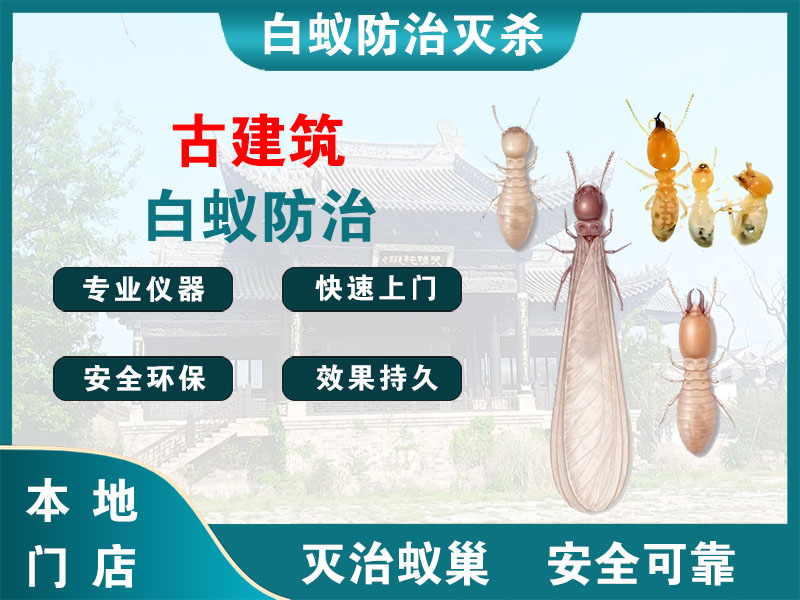 杭州古建筑白蚁防治