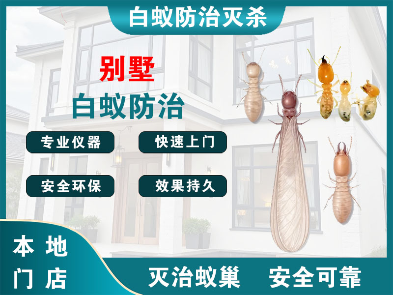 杭州别墅白蚁防治